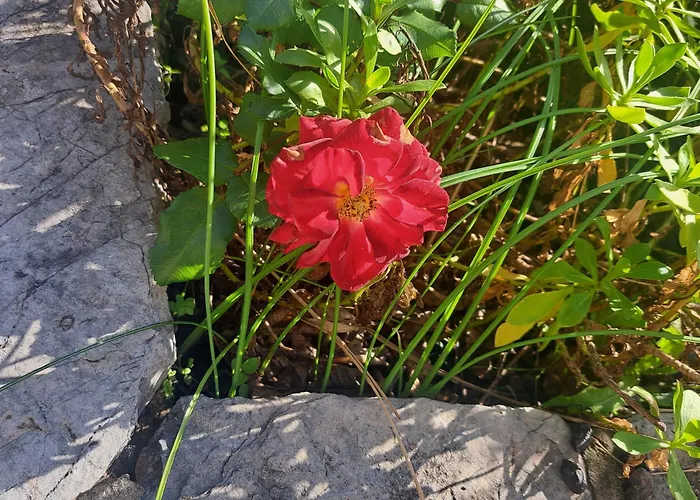 Kerasia - 4 & Appartement *